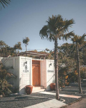 CARI Surf Camp, Lesson Package Private